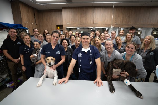 Veterinary Specialists Of Sydney