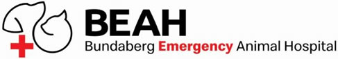bundaberg emergency logo