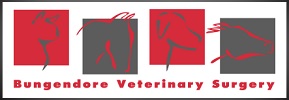 Bungendore Vet Surgery Logo