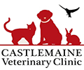 castlemain vet logo