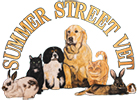 summer street logo