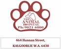 the animal hospital logo