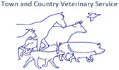 town and country logo