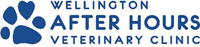 Wellington After Hours Logo