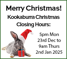 Banner with rabbit wearing a Christmas hat and Christmas opening hours for Kookaburra. 