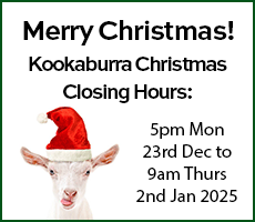 Banner with goat wearing a Christmas hat and Christmas opening hours for Kookaburra. 