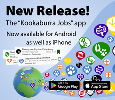 banner with link to article about kookaburra jobs app