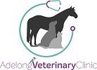 aadelong Logo