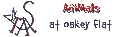 animals @ oakey flat logo
