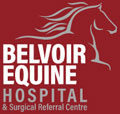 Belvoir equine hospital logo