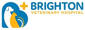 brighton logo