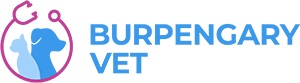 burpengary logo