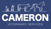 cameron logo