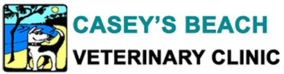casey's beach logo