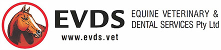 equine_veterinary_dental_logo