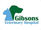 gibsons logo