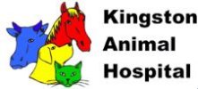 kingston logo