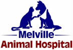 melville logo