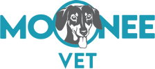 moonee beach logo