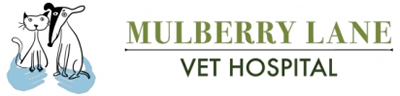 mulberry lane logo