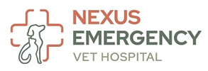 nexus_logo.jpg