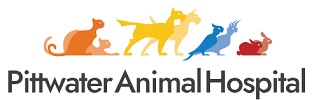 Pittwater Animal Hospital Logo