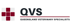 qvs logo