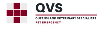 QVS logo