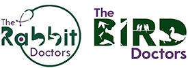 the rabbit bird doctors logo