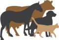 Macleay Valley Vet Services Logo
