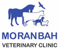 moranbah logo